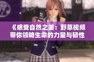 《感受自然之美：野草视频带你领略生命的力量与韧性》