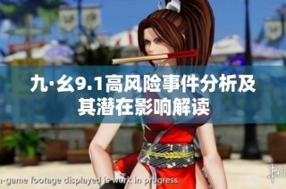 九·幺9.1高风险事件分析及其潜在影响解读