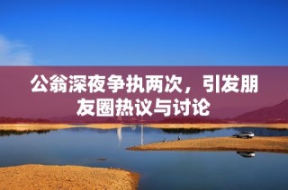 公翁深夜争执两次，引发朋友圈热议与讨论