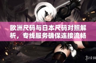 欧洲尺码与日本尺码对照解析，专线服务确保连接流畅无阻