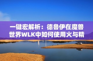 一键宏解析：德鲁伊在魔兽世界WLK中如何使用火与精灵组合技