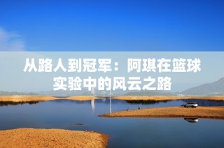 从路人到冠军：阿琪在篮球实验中的风云之路