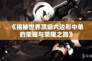 《揭秘世界顶级六边形中单的荣耀与荣耀之路》