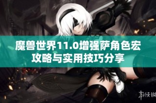 魔兽世界11.0增强萨角色宏攻略与实用技巧分享