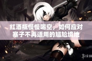 红酒瓶慢慢喝空，如何应对塞子不再适用的尴尬境地