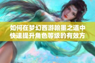 如何在梦幻西游翰墨之道中快速提升角色等级的有效方法与技巧分享