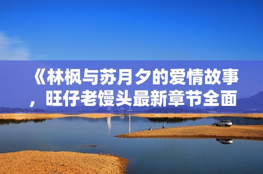 《林枫与苏月夕的爱情故事，旺仔老馒头最新章节全面解读》