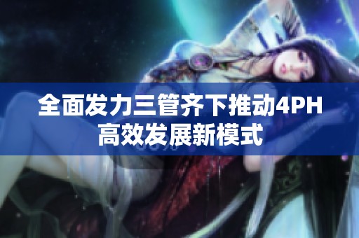 全面发力三管齐下推动4PH高效发展新模式