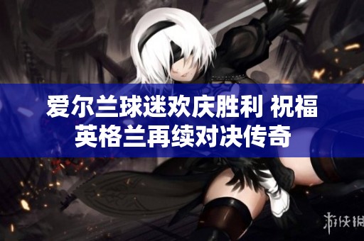爱尔兰球迷欢庆胜利 祝福英格兰再续对决传奇