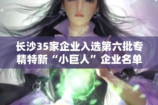 长沙35家企业入选第六批专精特新“小巨人”企业名单公示