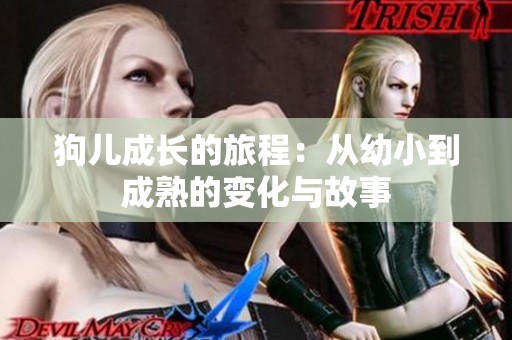 狗儿成长的旅程：从幼小到成熟的变化与故事
