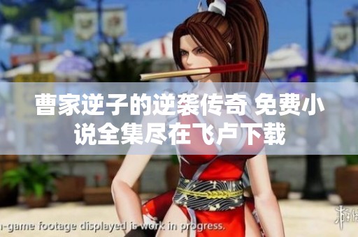 曹家逆子的逆袭传奇 免费小说全集尽在飞卢下载