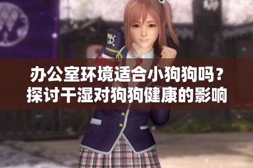 办公室环境适合小狗狗吗？探讨干湿对狗狗健康的影响