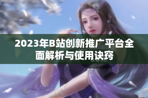 2023年B站创新推广平台全面解析与使用诀窍