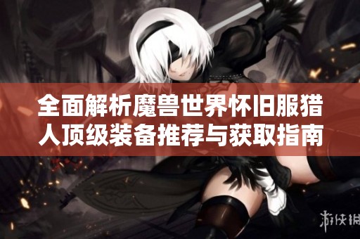 全面解析魔兽世界怀旧服猎人顶级装备推荐与获取指南