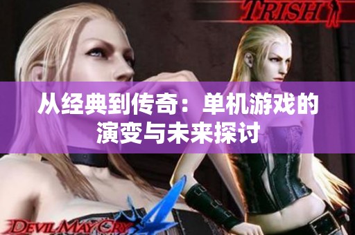 从经典到传奇：单机游戏的演变与未来探讨