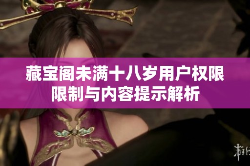藏宝阁未满十八岁用户权限限制与内容提示解析