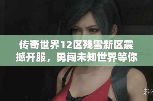 传奇世界12区残雪新区震撼开服，勇闯未知世界等你来战斗！
