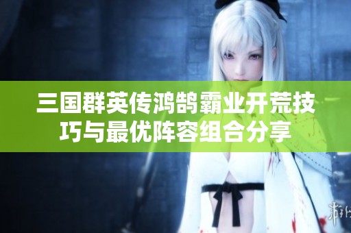 三国群英传鸿鹄霸业开荒技巧与最优阵容组合分享