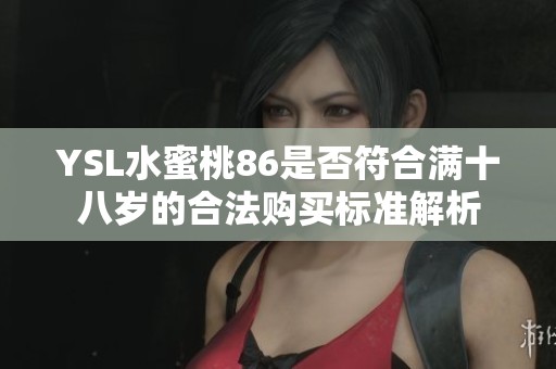 YSL水蜜桃86是否符合满十八岁的合法购买标准解析