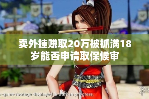 卖外挂赚取20万被抓满18岁能否申请取保候审