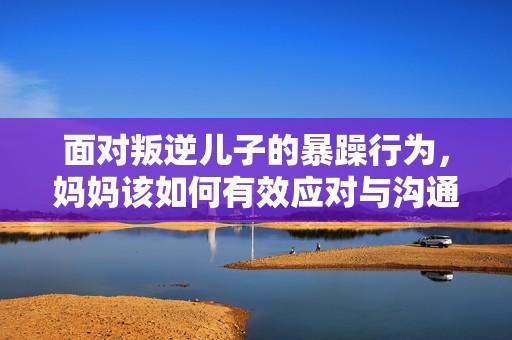 面对叛逆儿子的暴躁行为，妈妈该如何有效应对与沟通