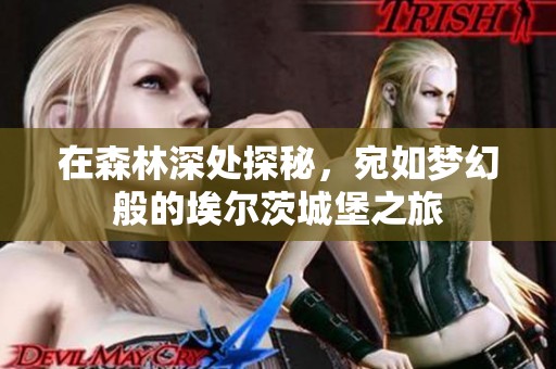 在森林深处探秘，宛如梦幻般的埃尔茨城堡之旅
