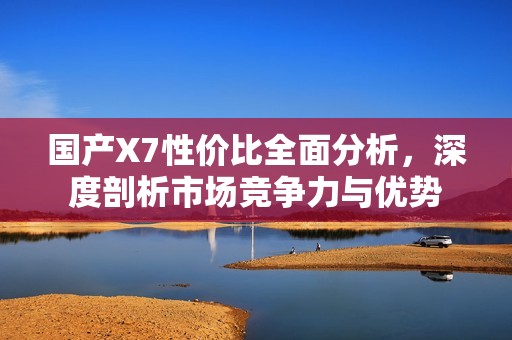 国产X7性价比全面分析，深度剖析市场竞争力与优势