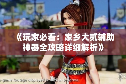 《玩家必看：家乡大贰辅助神器全攻略详细解析》