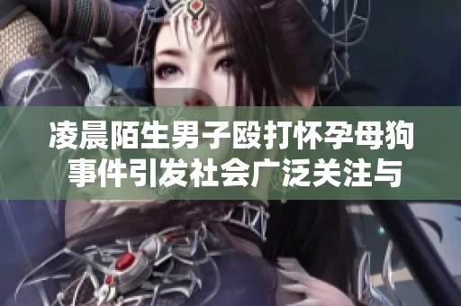 凌晨陌生男子殴打怀孕母狗 事件引发社会广泛关注与愤怒