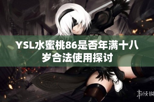 YSL水蜜桃86是否年满十八岁合法使用探讨