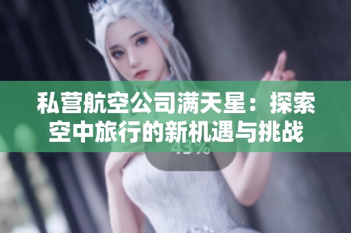 私营航空公司满天星：探索空中旅行的新机遇与挑战