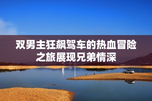 双男主狂飙驾车的热血冒险之旅展现兄弟情深