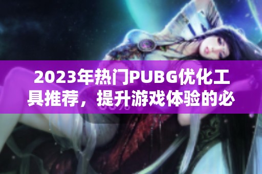 2023年热门PUBG优化工具推荐，提升游戏体验的必备利器