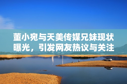 董小宛与天美传媒兄妹现状曝光，引发网友热议与关注