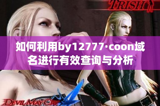 如何利用by12777·coon域名进行有效查询与分析