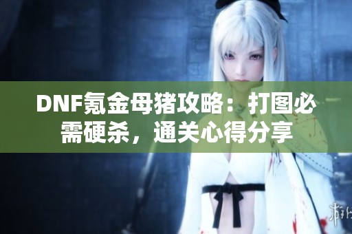 DNF氪金母猪攻略：打图必需硬杀，通关心得分享