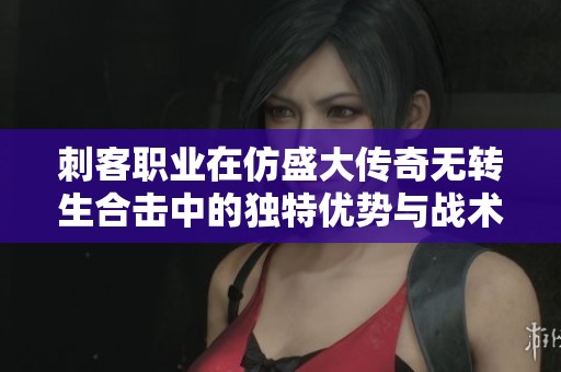 刺客职业在仿盛大传奇无转生合击中的独特优势与战术分析