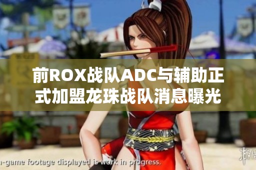 前ROX战队ADC与辅助正式加盟龙珠战队消息曝光