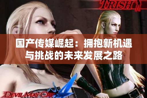 国产传媒崛起：拥抱新机遇与挑战的未来发展之路