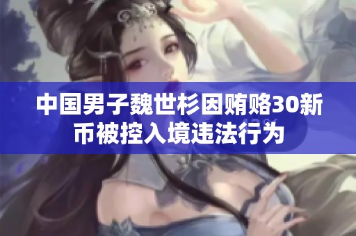 中国男子魏世杉因贿赂30新币被控入境违法行为