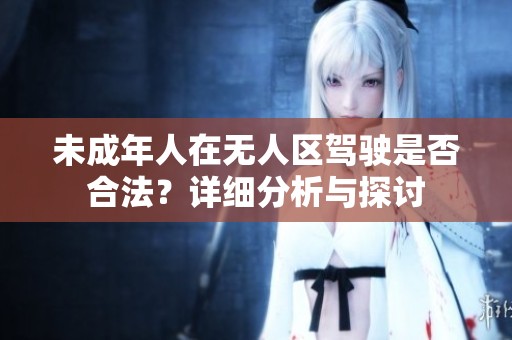 未成年人在无人区驾驶是否合法？详细分析与探讨