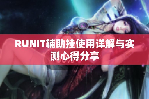 RUNIT辅助挂使用详解与实测心得分享