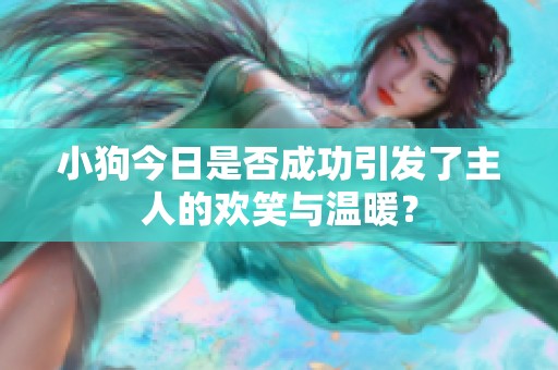 小狗今日是否成功引发了主人的欢笑与温暖？