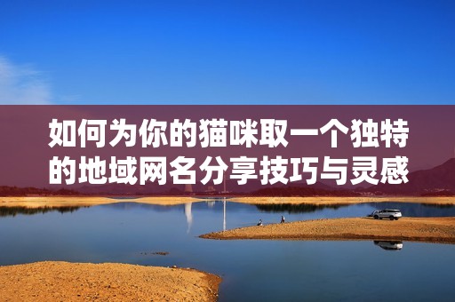 如何为你的猫咪取一个独特的地域网名分享技巧与灵感