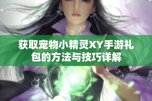 获取宠物小精灵XY手游礼包的方法与技巧详解