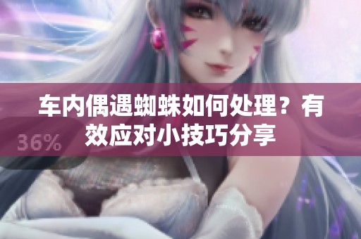车内偶遇蜘蛛如何处理？有效应对小技巧分享