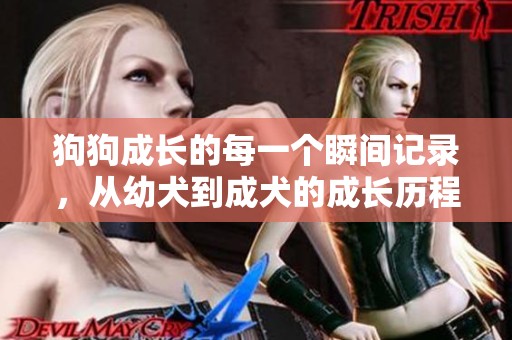 狗狗成长的每一个瞬间记录，从幼犬到成犬的成长历程