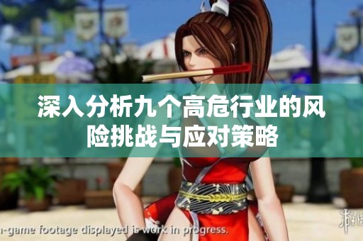 深入分析九个高危行业的风险挑战与应对策略