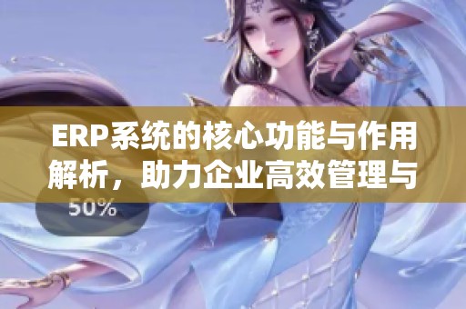 ERP系统的核心功能与作用解析，助力企业高效管理与决策